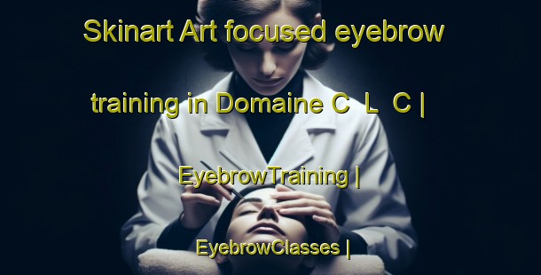 Skinart Art-focused eyebrow training in Domaine C  L  C | EyebrowTraining | EyebrowClasses | SkinartTraining-Canada